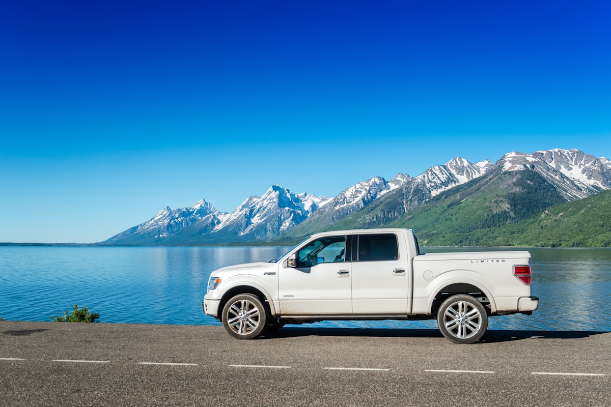 Pickup truck driver